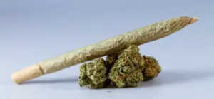 How to Get Weed Out of Your System: THC Detox Tips